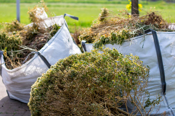 Best Electronics Removal Services  in Colon, MI